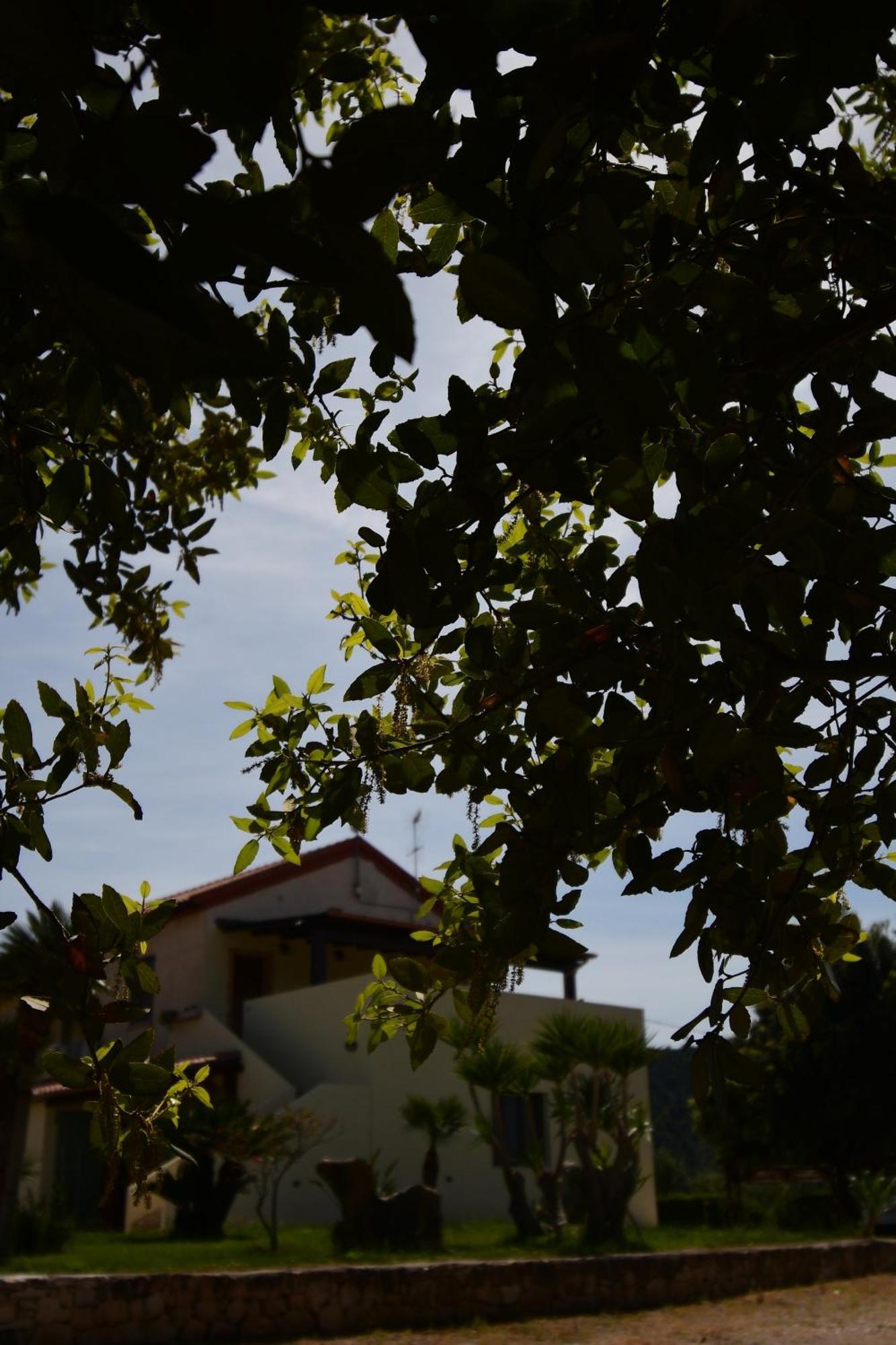 Fattoria La Traccia Βίλα Fertilia Εξωτερικό φωτογραφία